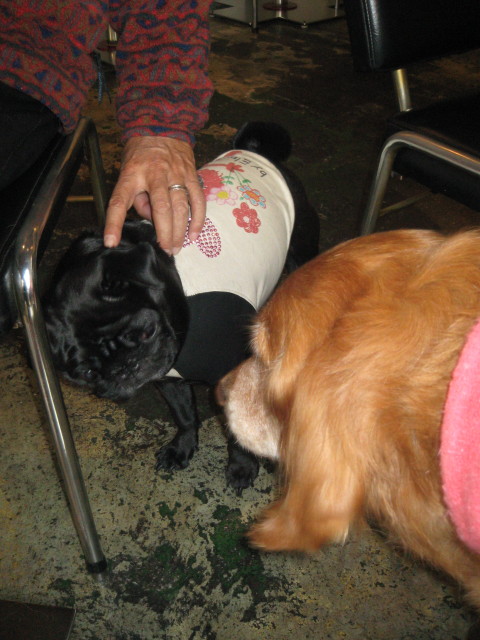 ファイル 192-3.jpg