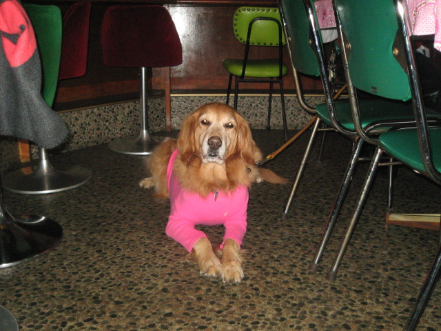 ファイル 192-5.jpg