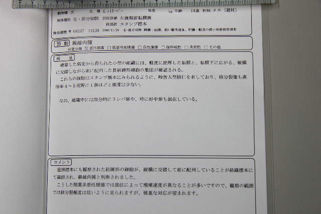 ファイル 1923-1.jpg