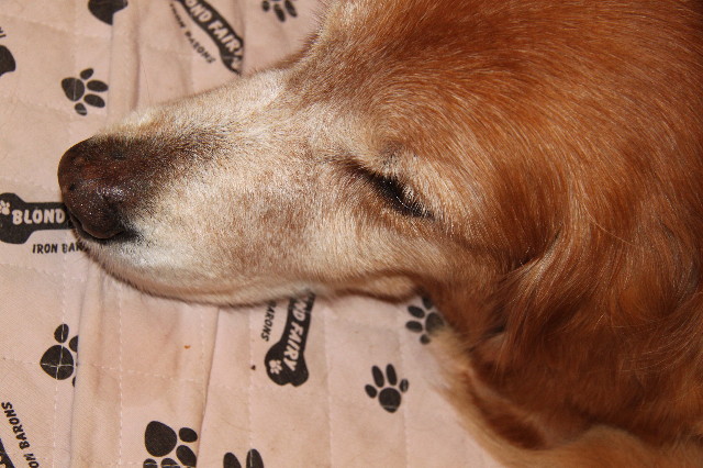 ファイル 1924-4.jpg