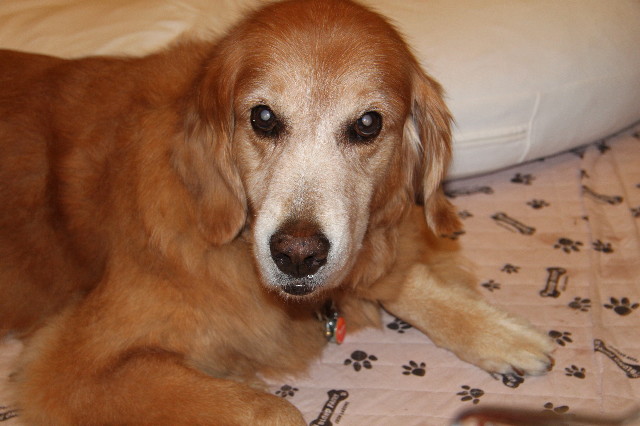 ファイル 1924-5.jpg