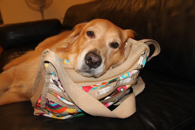 ファイル 1926-1.jpg