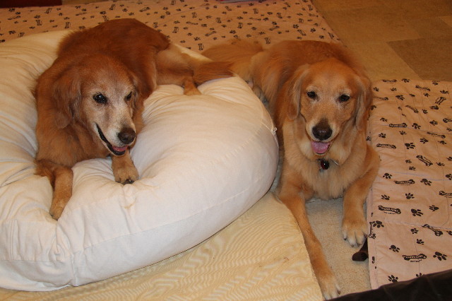 ファイル 1926-3.jpg