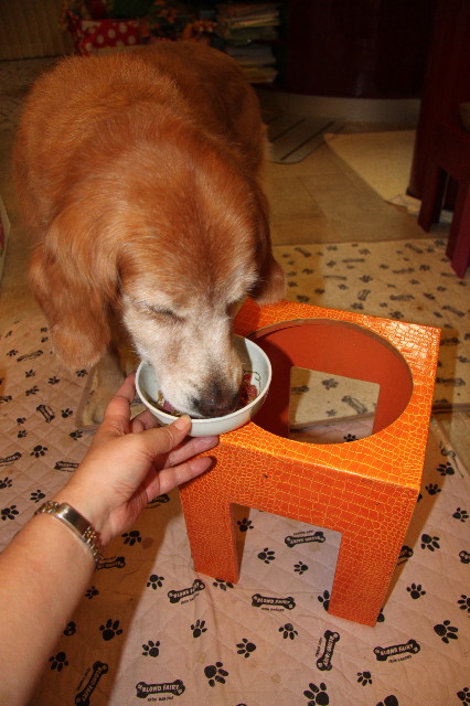 ファイル 1927-2.jpg