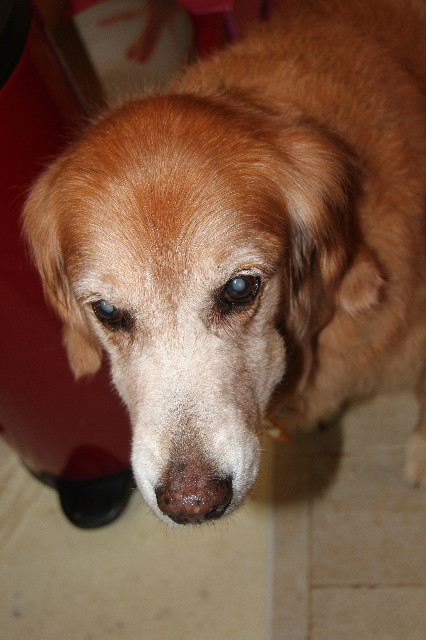 ファイル 1927-3.jpg