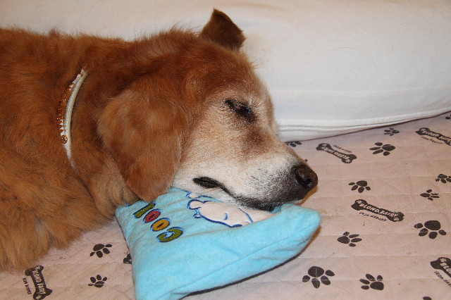 ファイル 1927-4.jpg