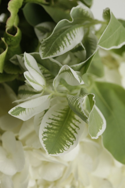 ファイル 1929-3.jpg