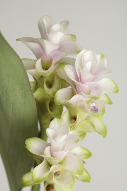 ファイル 1929-4.jpg