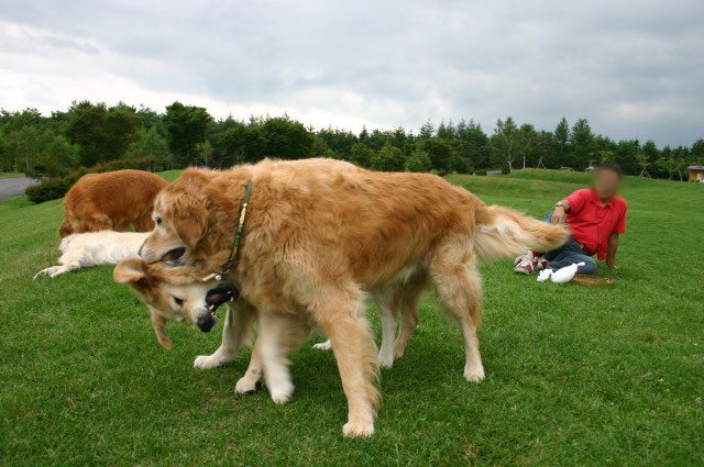 ファイル 193-2.jpg