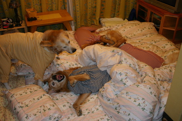 ファイル 193-4.jpg