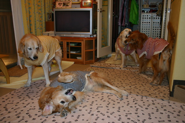 ファイル 193-5.jpg