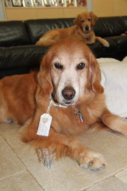 ファイル 1930-1.jpg