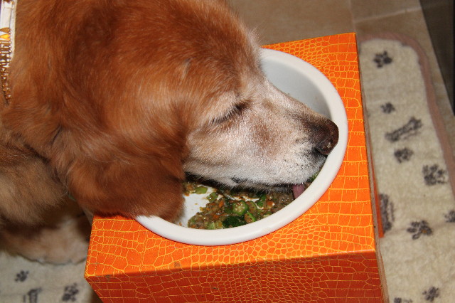 ファイル 1930-3.jpg