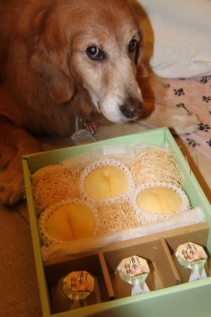 ファイル 1930-4.jpg