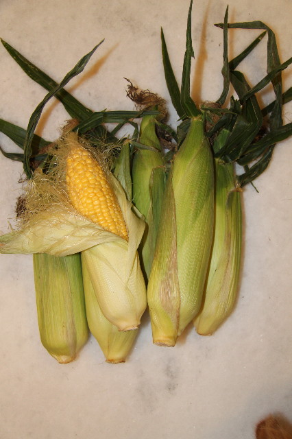 ファイル 1930-5.jpg