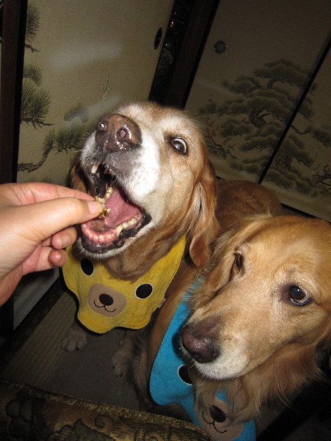 ファイル 1931-2.jpg