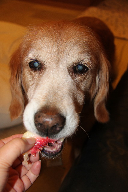 ファイル 1935-5.jpg