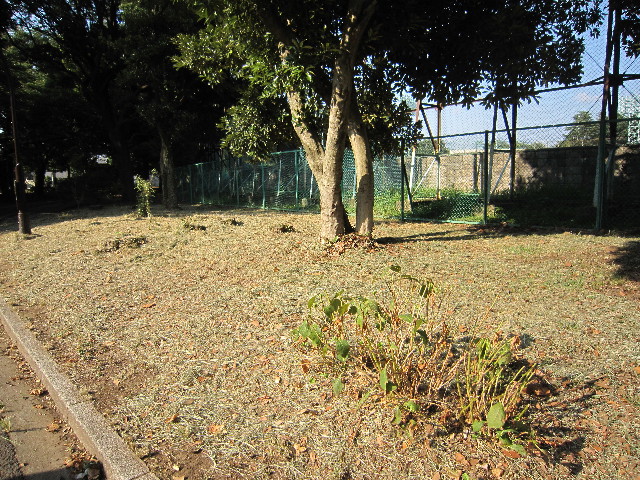 ファイル 1936-1.jpg