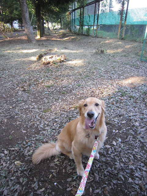 ファイル 1936-4.jpg