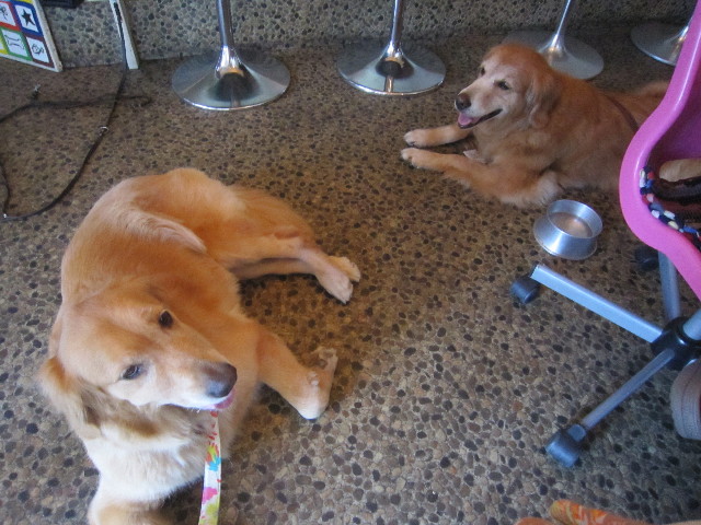 ファイル 1936-5.jpg