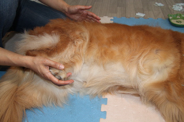 ファイル 1938-1.jpg