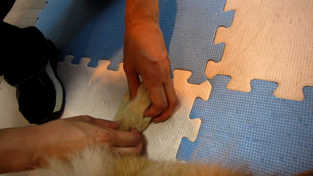 ファイル 1938-3.jpg