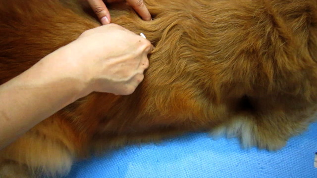 ファイル 1938-4.jpg