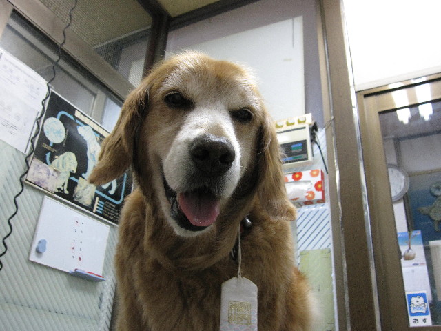 ファイル 1939-1.jpg