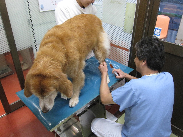 ファイル 1939-2.jpg