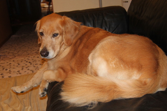 ファイル 1939-5.jpg