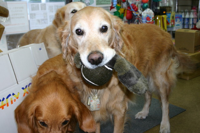 ファイル 194-2.jpg