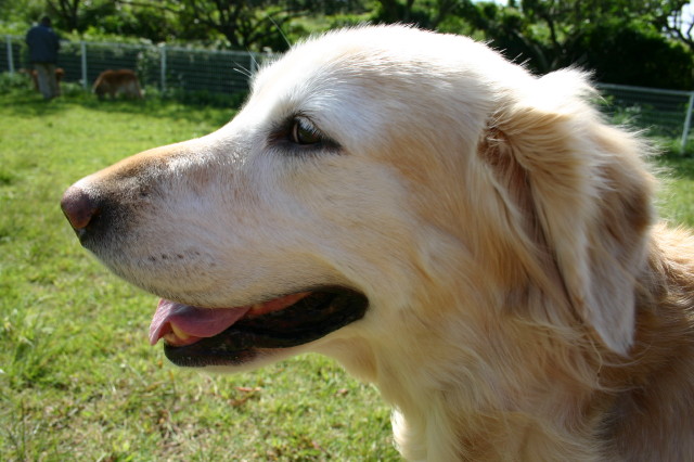 ファイル 194-3.jpg