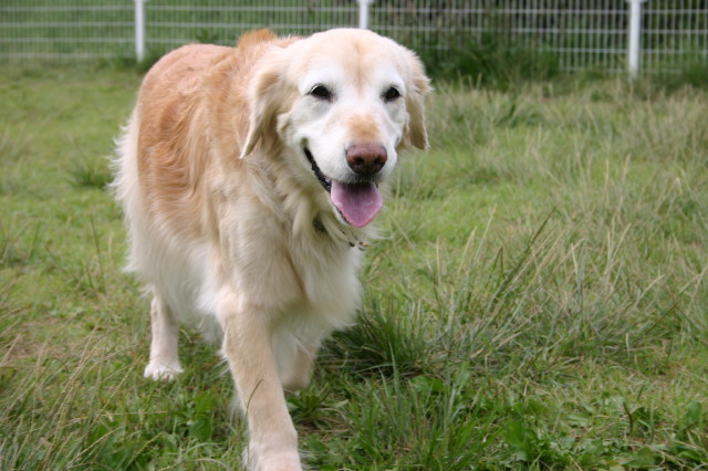 ファイル 194-4.jpg