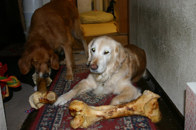 ファイル 194-5.jpg