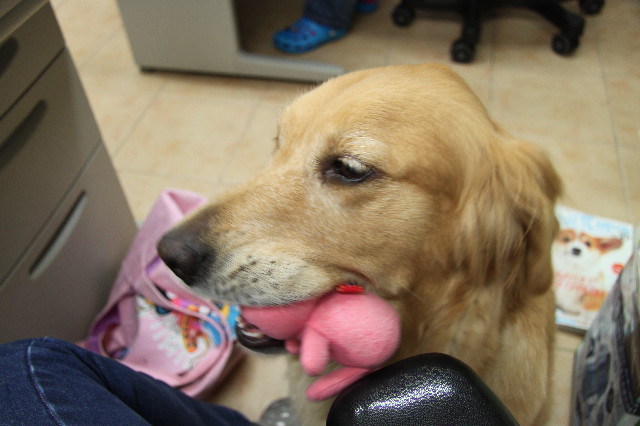 ファイル 1940-1.jpg