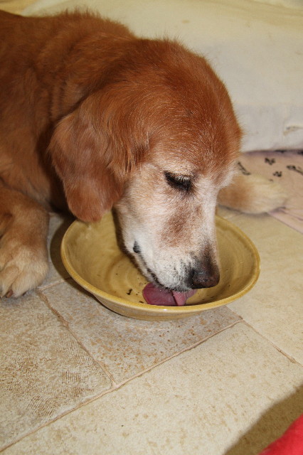 ファイル 1940-5.jpg