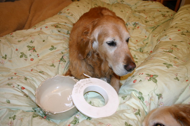 ファイル 195-2.jpg