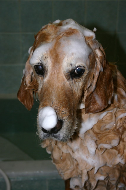 ファイル 195-4.jpg