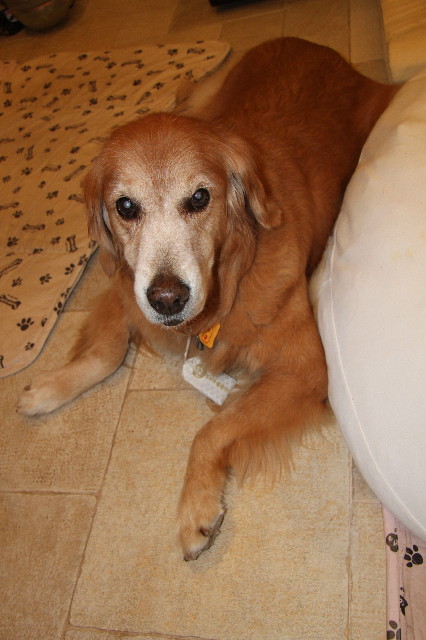 ファイル 1952-1.jpg