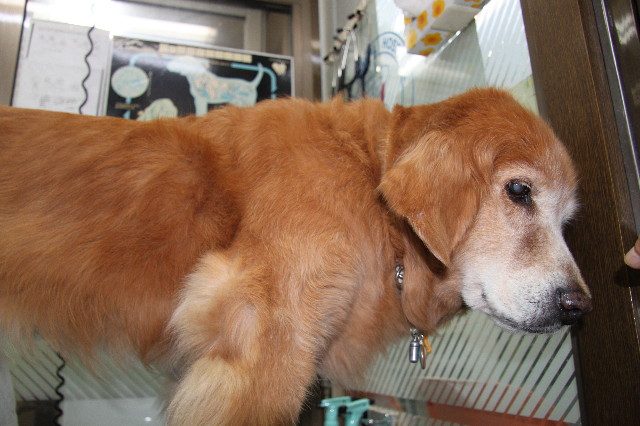 ファイル 1952-4.jpg