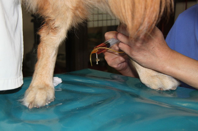 ファイル 1952-5.jpg