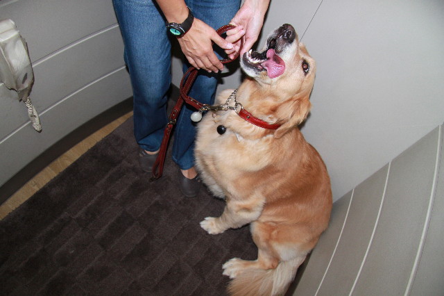 ファイル 1953-1.jpg