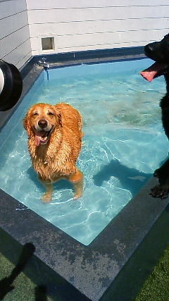 ファイル 1953-4.jpg