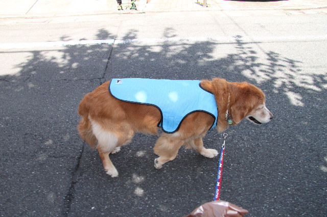 ファイル 1954-1.jpg