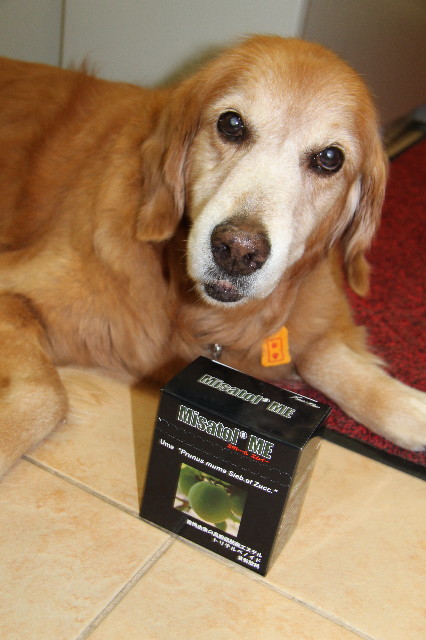 ファイル 1954-3.jpg