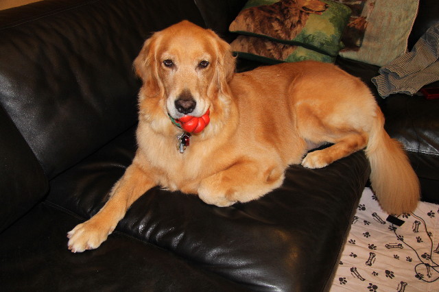 ファイル 1954-5.jpg