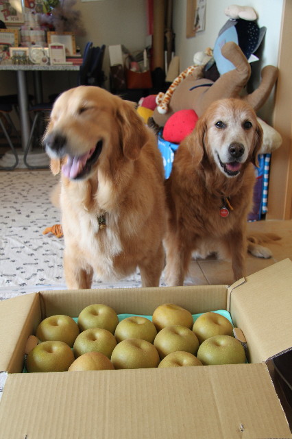 ファイル 1955-2.jpg