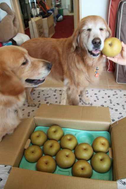 ファイル 1955-3.jpg