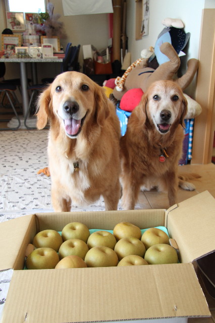 ファイル 1955-4.jpg