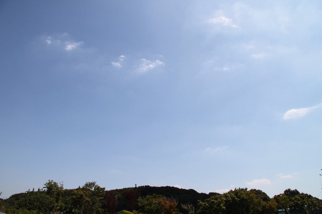 ファイル 1956-1.jpg